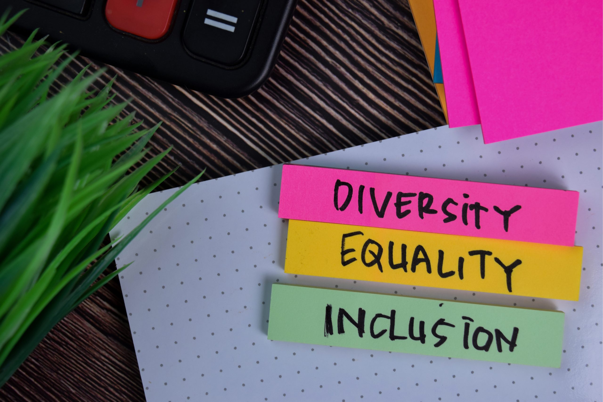 Key Diversity Inclusion Statistics About YOUR Workplace